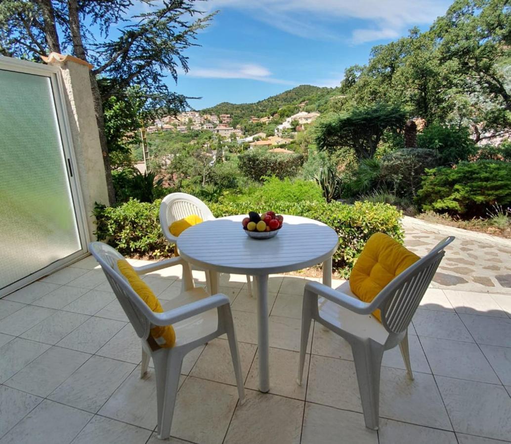 Appartements Dans Villa En Rez De Jardin イエール エクステリア 写真