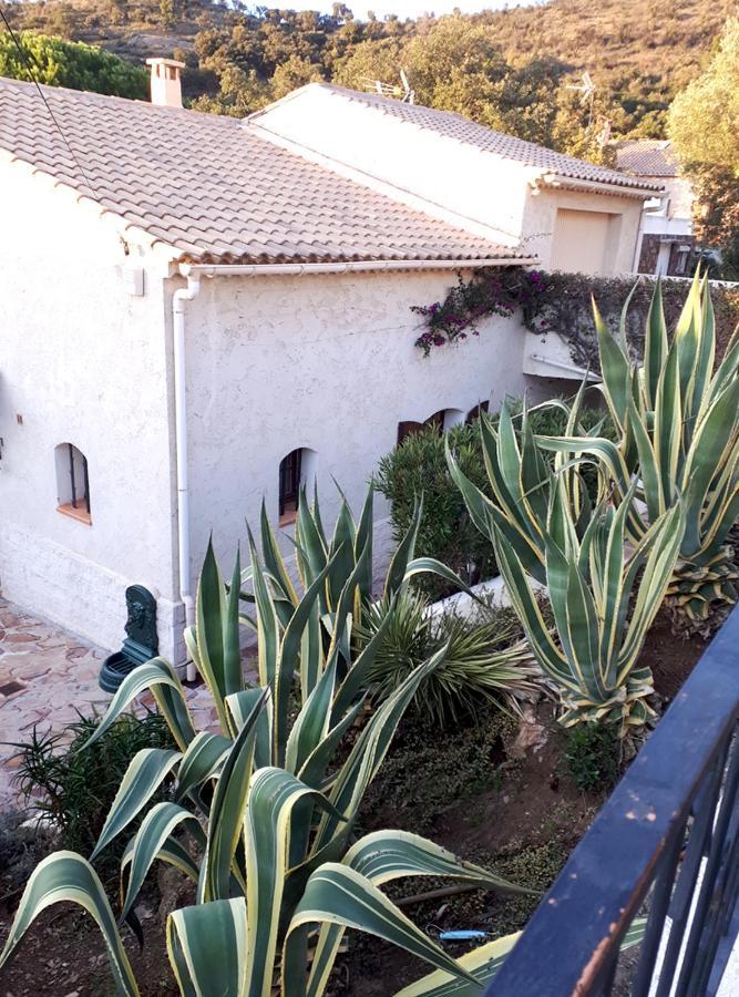 Appartements Dans Villa En Rez De Jardin イエール エクステリア 写真