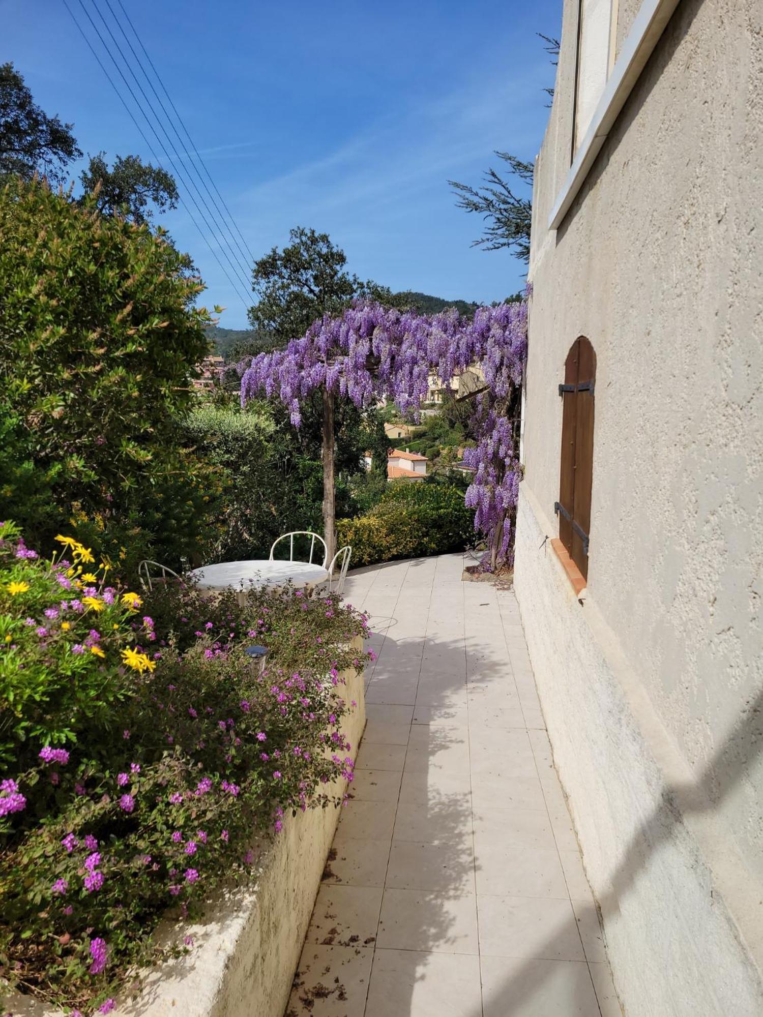Appartements Dans Villa En Rez De Jardin イエール エクステリア 写真