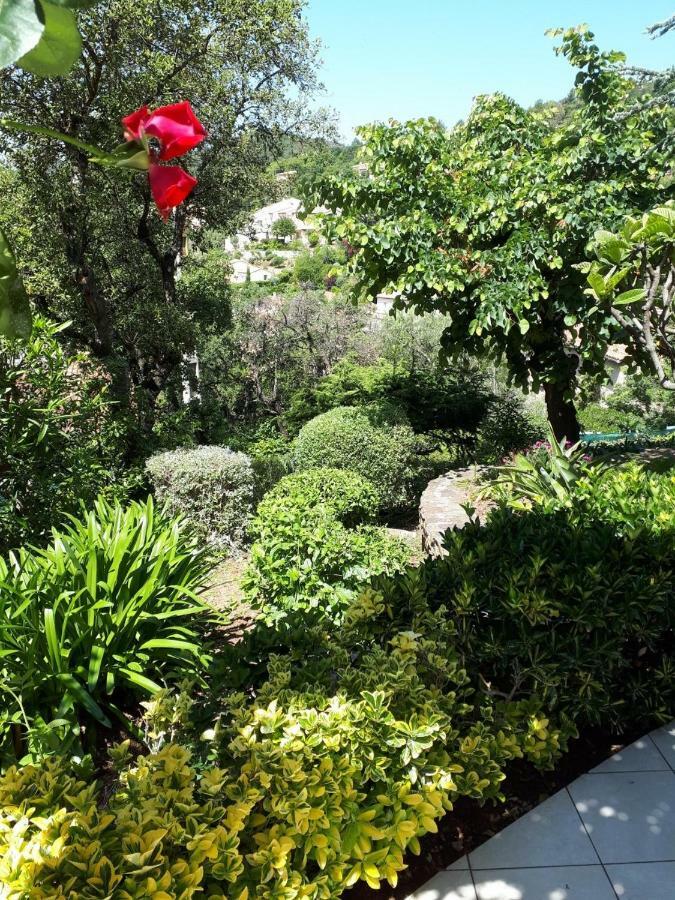 Appartements Dans Villa En Rez De Jardin イエール エクステリア 写真